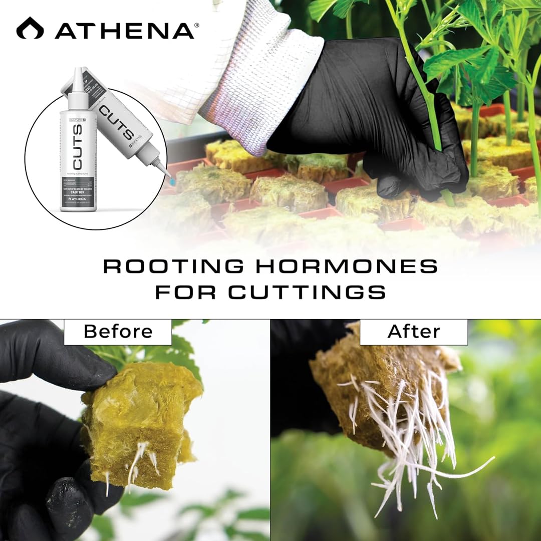 Athena Cuts Rooting Gel 8oz