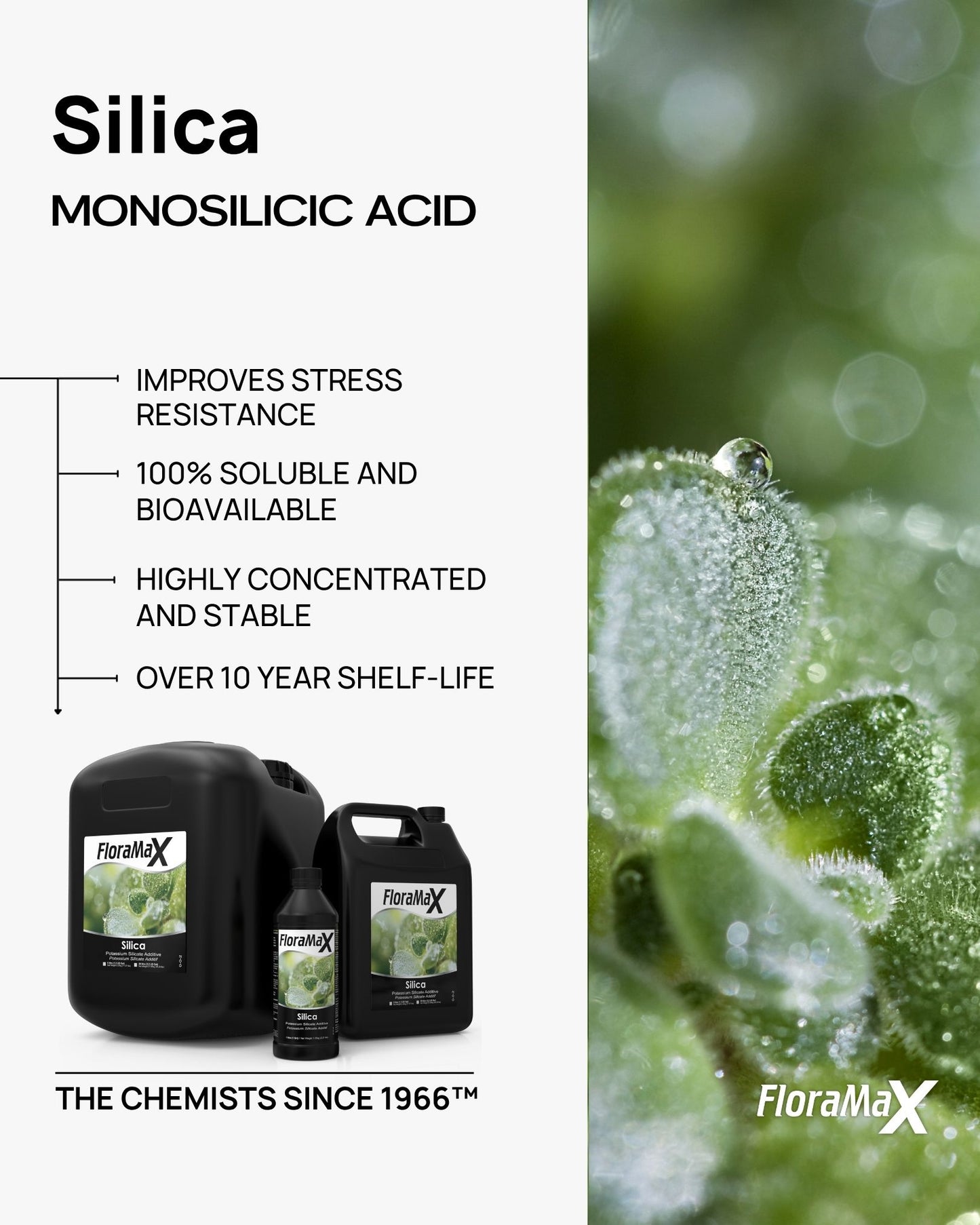 FloraMax Silica – Professional Grade Plant Fortifier