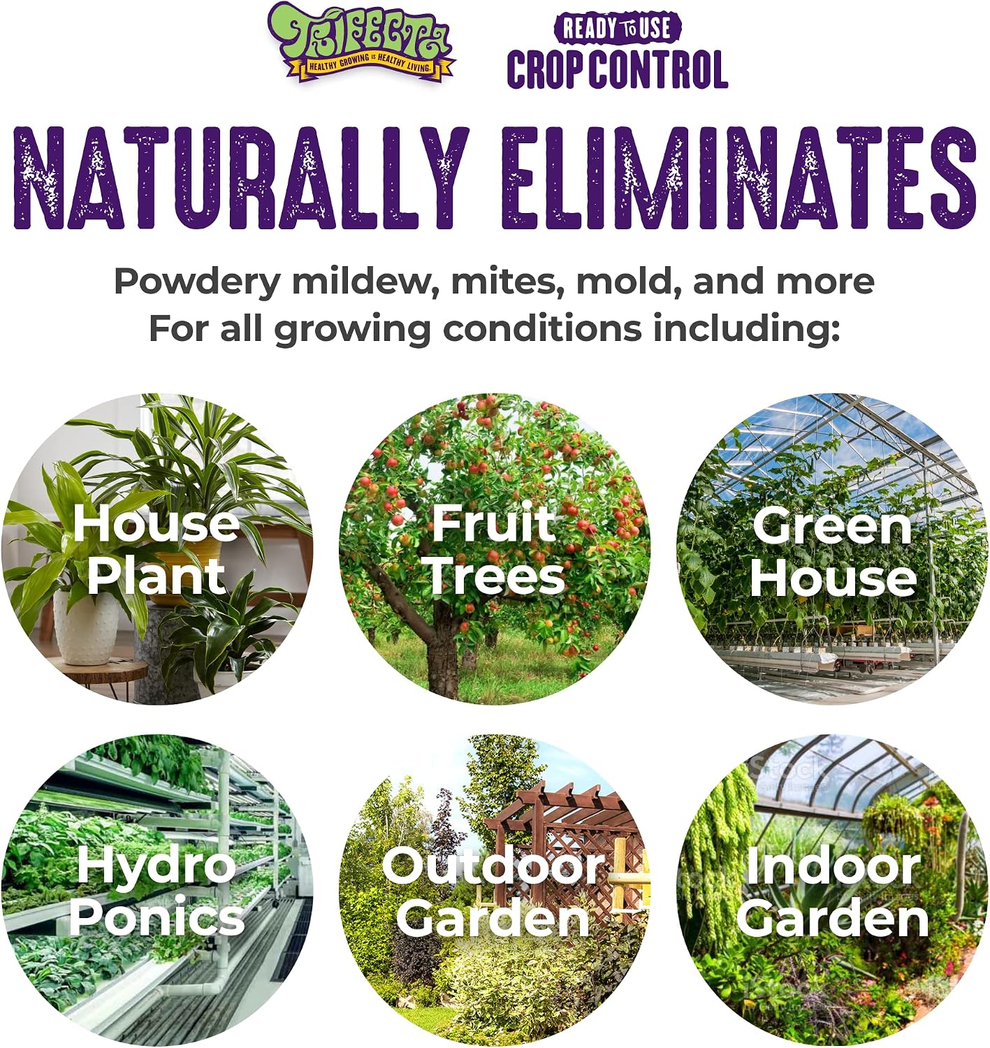 Trifecta Crop Control Ready-to-Use Maximum Strength Natural Pesticide, Fungicide & Miticide – Eliminates Spider Mites, Powdery Mildew, Botrytis & Mold on Plants, 32 oz
