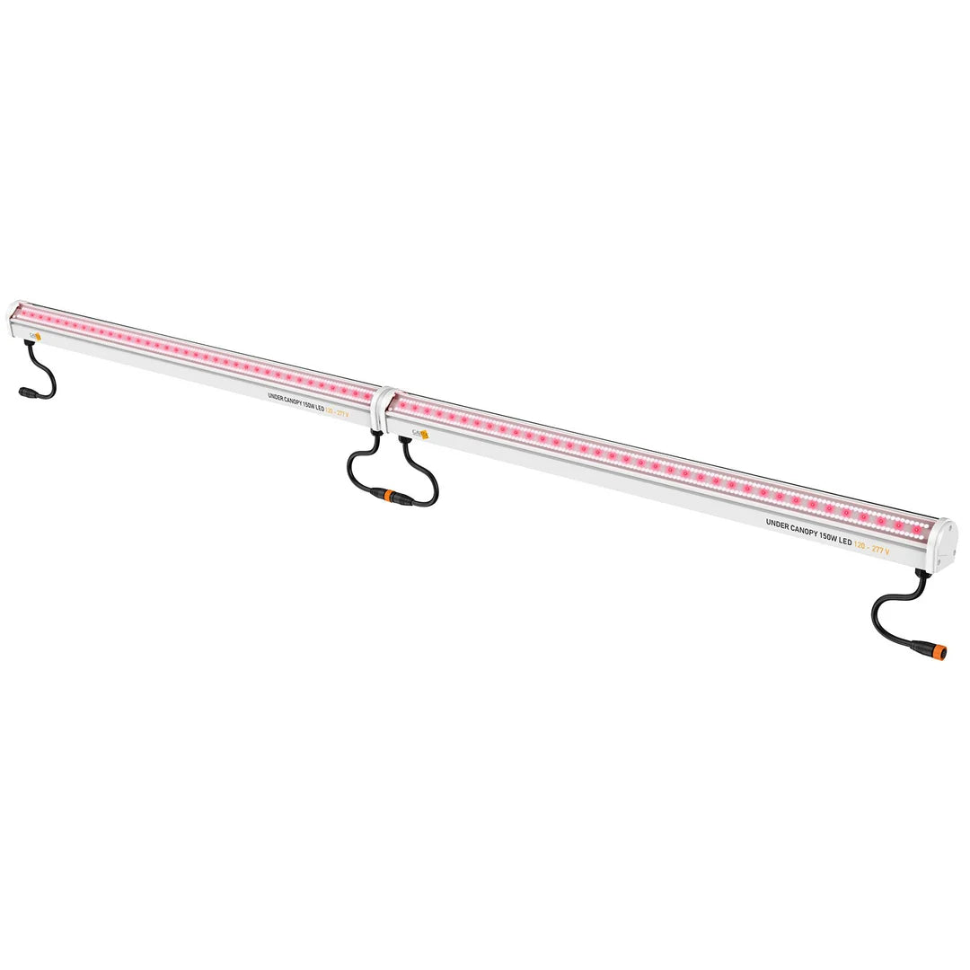 Gavita Under Canopy 150W LED Light