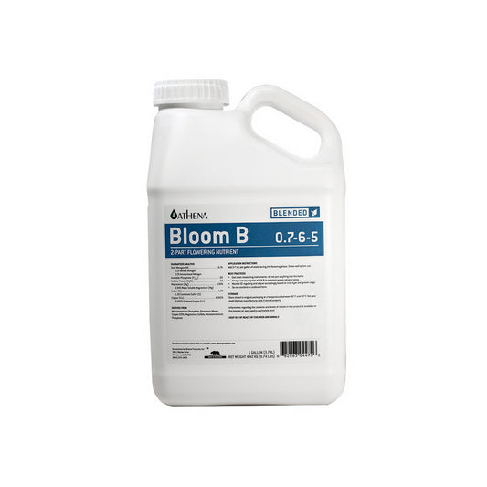 Athena-Bloom-B