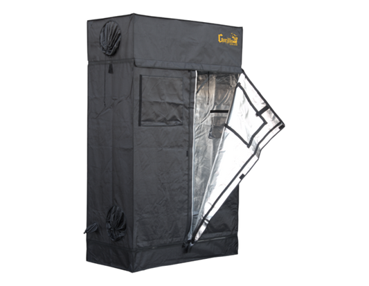 Lite Line 2x4